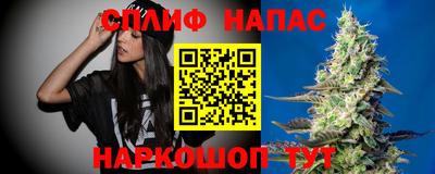 Альфа ПВП Будённовск